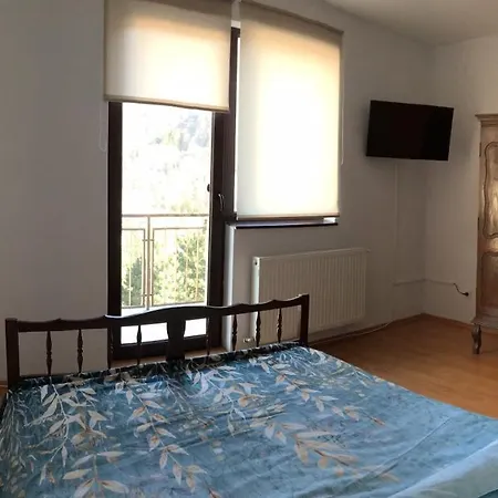 Mountain View Rooftop Apartment Sinaia